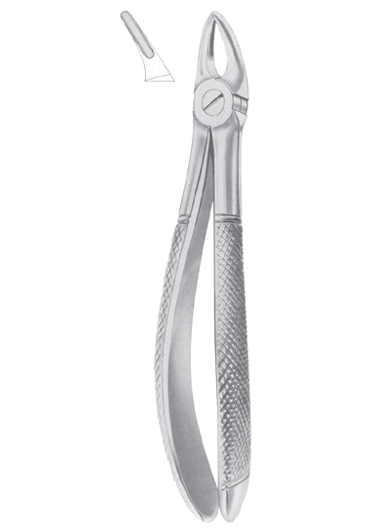 Fig. 30S upper roots for children 